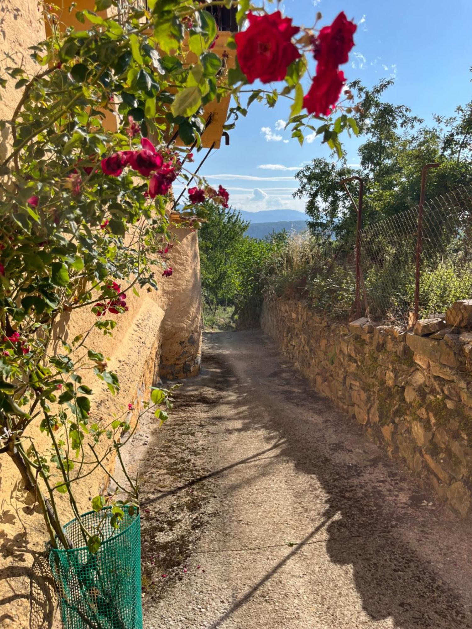 La Casina De Gelo Riego de Ambros Exterior foto